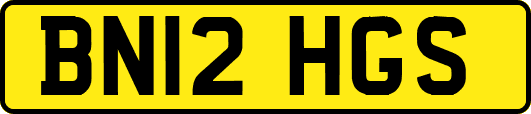 BN12HGS