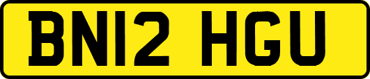 BN12HGU