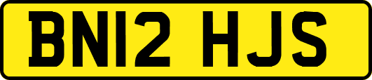 BN12HJS