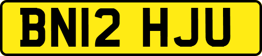 BN12HJU