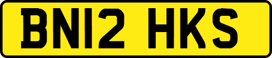 BN12HKS