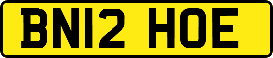 BN12HOE