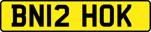BN12HOK