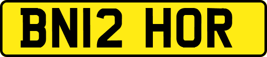 BN12HOR
