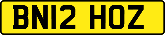 BN12HOZ