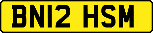 BN12HSM