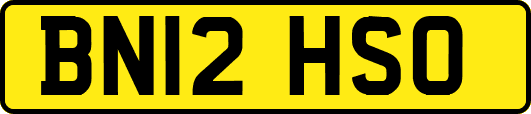 BN12HSO