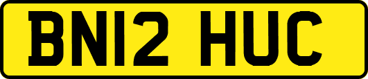 BN12HUC