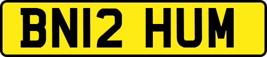 BN12HUM