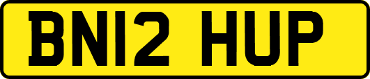 BN12HUP