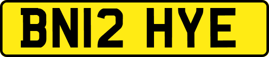 BN12HYE