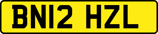BN12HZL