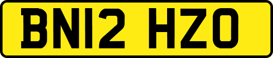 BN12HZO