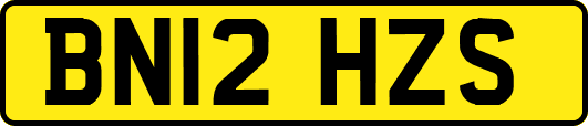 BN12HZS