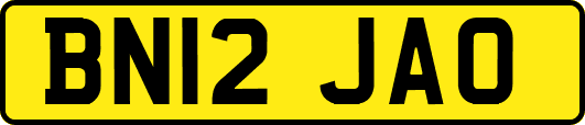 BN12JAO