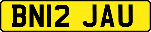 BN12JAU