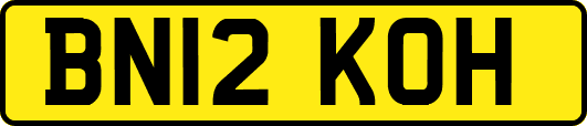 BN12KOH