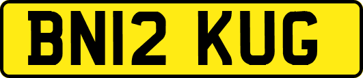 BN12KUG
