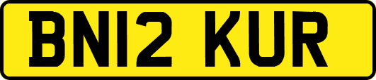 BN12KUR