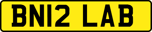 BN12LAB