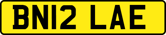 BN12LAE