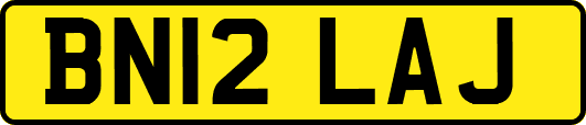 BN12LAJ