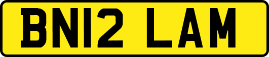 BN12LAM