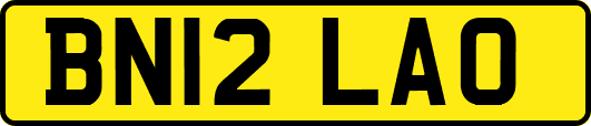 BN12LAO