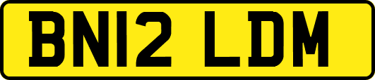 BN12LDM