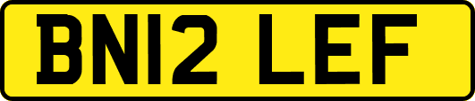 BN12LEF