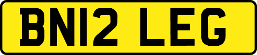 BN12LEG
