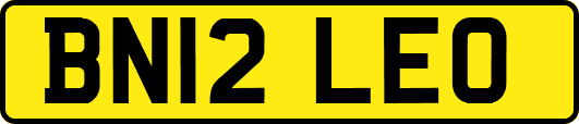 BN12LEO