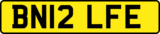 BN12LFE