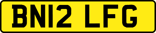 BN12LFG