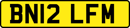 BN12LFM