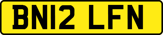 BN12LFN