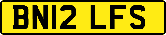 BN12LFS