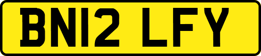 BN12LFY