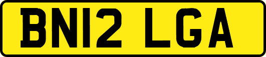 BN12LGA