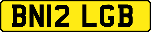 BN12LGB