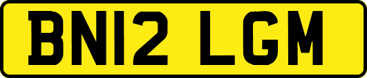BN12LGM