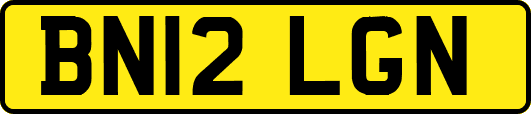BN12LGN
