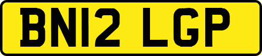 BN12LGP
