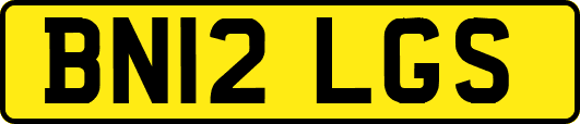 BN12LGS