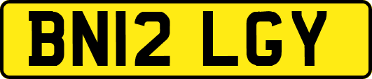 BN12LGY