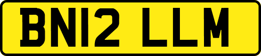 BN12LLM