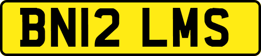 BN12LMS
