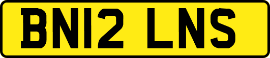 BN12LNS