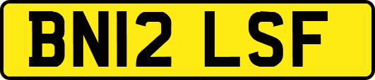 BN12LSF
