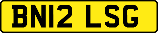BN12LSG